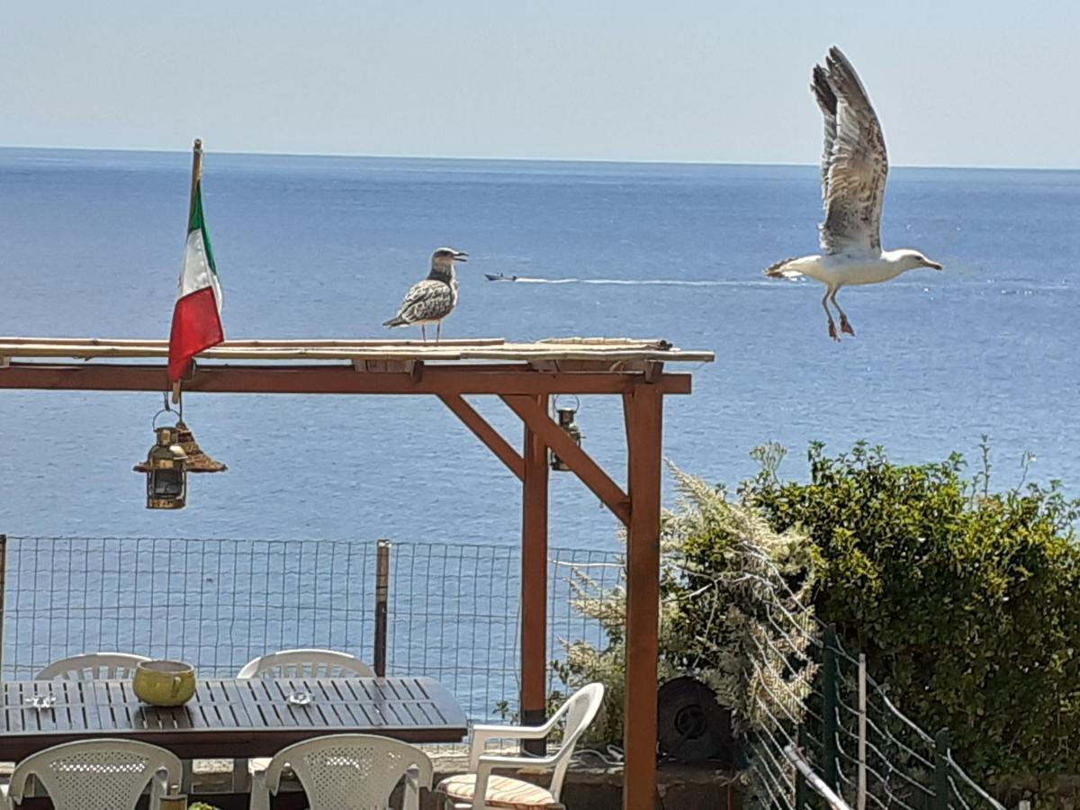 Terrazza Sul Mare Holiday home