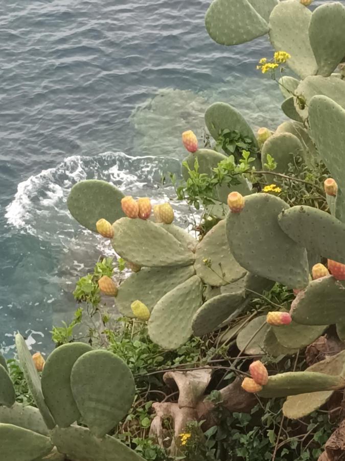 Terrazza Sul Mare Holiday home Lipari (Isola Lipari)